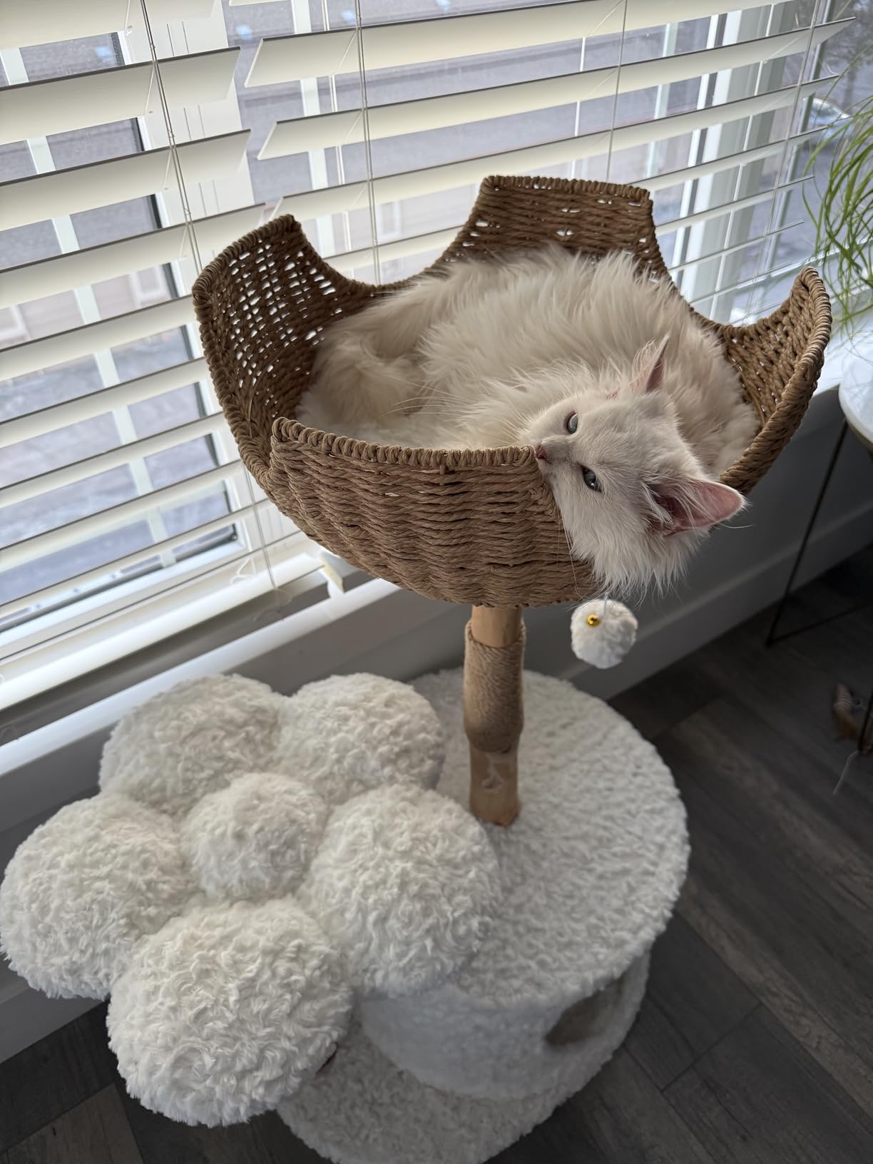 Easyego Modern Cat Tree, Aesthetic Wood Cat Tree Tower for Large Cats