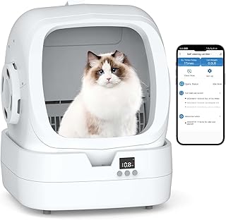 Stop Scooping: Why This Smart Self-Cleaning Litter Box is a Total Game Changer for Modern Cat Parents