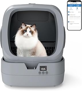 Ditch the Scoop Drama: Why This Smart Automatic Cat Litter Box is a Vibe